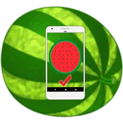 Watermelon Ripeness