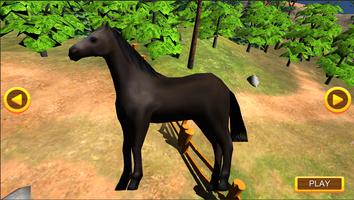 Wild Horse Sim penulis hantaran