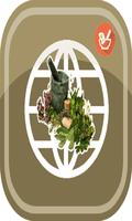 Guide Obat Natural Herbalist poster