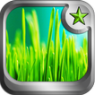 Green Grass theme