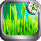ikon Green Grass theme