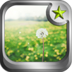 5D dandelion APK
