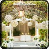 Wedding Decoration Idea icon