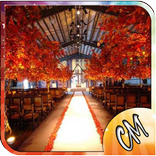 शादी की सजावट विचारों