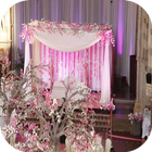 Icona Wedding Decoration Ideas