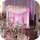 Wedding Decoration Ideas 圖標