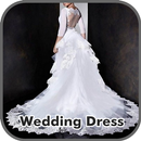 Beautiful Wedding Dress Inspirations APK