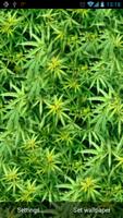 Weed Live Wallpaper স্ক্রিনশট 3