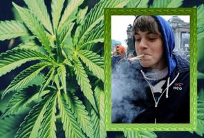 Weed Photo Frames Affiche