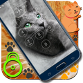 Cute Cat Lock Screen