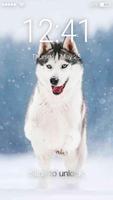Siber Husky Screen Lock Cartaz