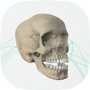 Virtual Cranium aplikacja