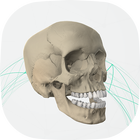 Virtual Cranium आइकन