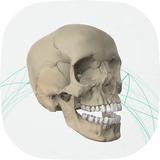 Virtual Cranium icon