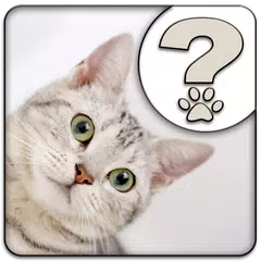 What Cat Breed Am I?