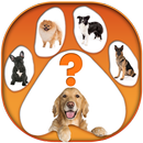 あなたは何犬ですか テスト 応用 APK