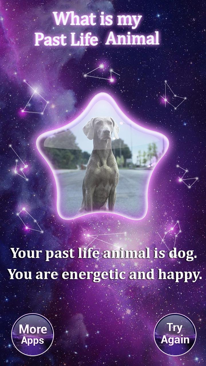 What is My Past Life Animal: Past Life Test APK voor Android Download