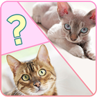 What Is The Perfect Cat For Me icon
