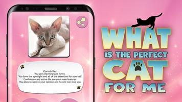 What Is The Perfect Cat For Me syot layar 2