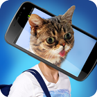 What you are Cat? Face Scanner أيقونة