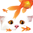 WhiteCat Live Wall-Paper APK