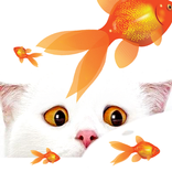 WhiteCat Live Wall-Paper