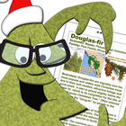 Doug Fir Christmas Tree Guide 아이콘