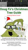 Doug Fir Christmas Tree Guide poster