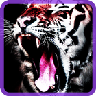 wild animals live wallpapers آئیکن