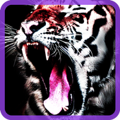 wild animals live wallpapers icon