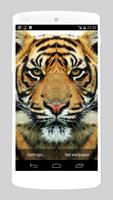 wild animals live wallpapers Poster