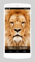 wild animals live wallpapers syot layar 2