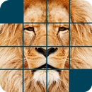 wild animals puzzles game APK