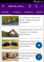 Wild animals Life Documentaries ( Free Films ) screenshot 1