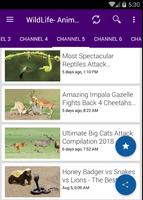 Wild animals Life Documentaries ( Free Films ) screenshot 2