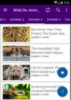 Wild animals Life Documentaries ( Free Films ) capture d'écran 3