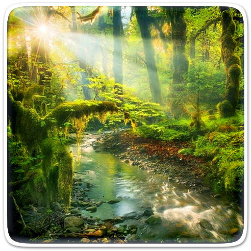 Wild Nature Live Wallpaper