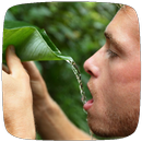 Wilderness Survival Guide APK