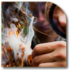 APK Wilderness Survival