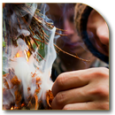 Survival Wilderness APK
