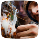 Wilderness Survival Tips APK