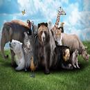 Wildlife Puzzle APK
