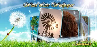 Windmühlen Live Hintergrund 🌬 Hintergrundbilder
