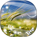APK Mulino A Vento Sfondo Animato 🌬 Immagini Gratis