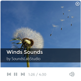 Natural Wind Sounds ไอคอน