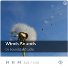 Natural Wind Sounds アイコン