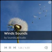 Natural Wind Sounds ポスター