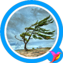 Wind Sounds APK