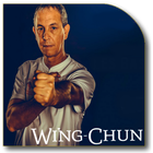 Técnicas de Wing Chun ícone