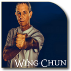 Las técnicas de Wing Chun icono